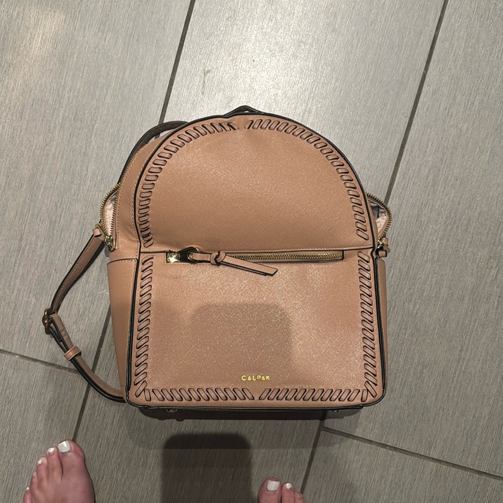 Calpak travel backpack